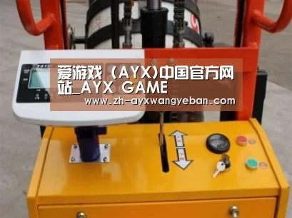 ayx爱游戏网页版案例展示三