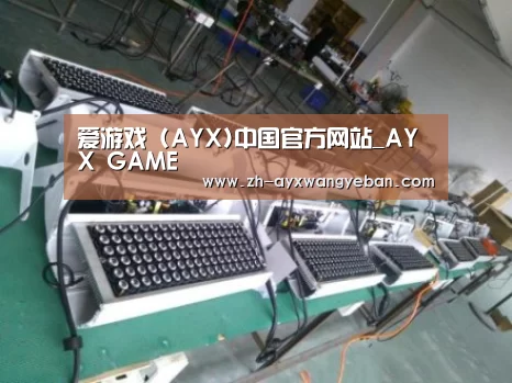 ayx爱游戏网页版案例展示一