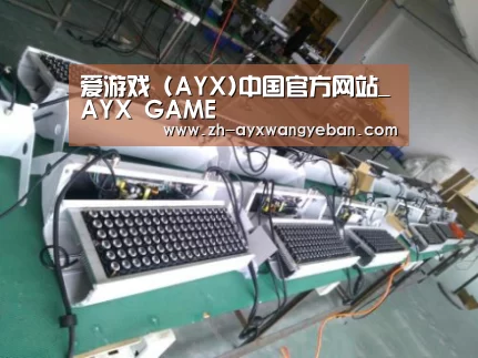 ayx爱游戏网页版案例展示一(图1)
