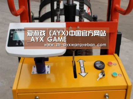 ayx爱游戏网页版案例展示三(图1)