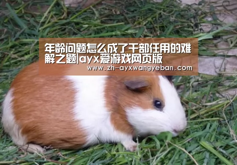 ayx爱游戏网页版