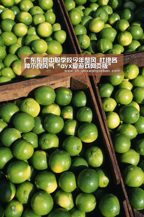 广东东莞中职学校今年整风 杜绝各种不良风气“ayx爱游戏网页版”(图1) ayx爱游戏网页版