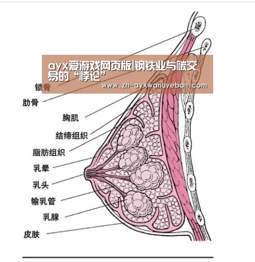 ayx爱游戏网页版|钢铁业与碳交易的“悖论”(图1) ayx爱游戏网页版