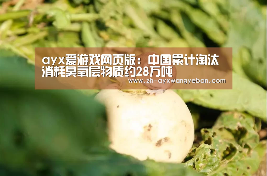 ayx爱游戏网页版:中国累计淘汰消耗臭氧层物质约28万吨(图3) ayx爱游戏网页版