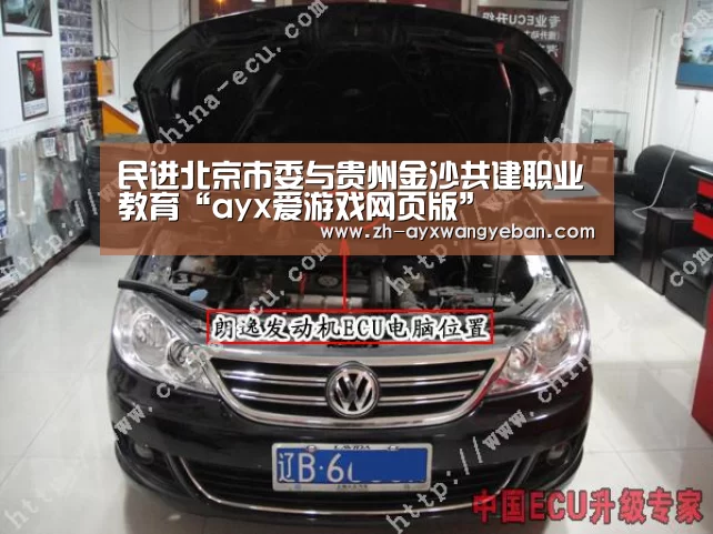 民进北京市委与贵州金沙共建职业教育“ayx爱游戏网页版”(图3) ayx爱游戏网页版