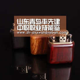 ayx爱游戏网页版