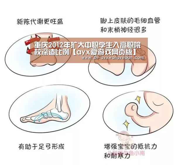 重庆2012年扩大中职学生入高职院校深造比例【ayx爱游戏网页版】(图2) ayx爱游戏网页版