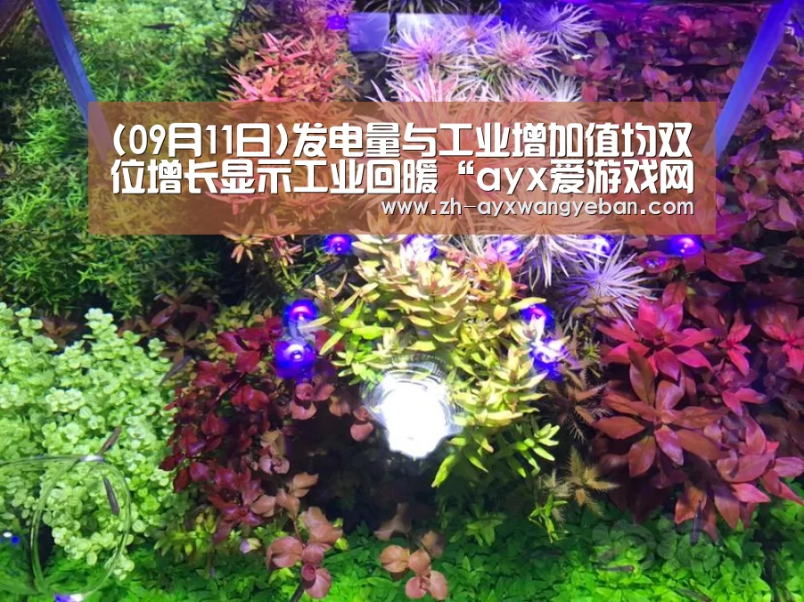 (09月11日)发电量与工业增加值均双位增长显示工业回暖“ayx爱游戏网页版”(图1) ayx爱游戏网页版