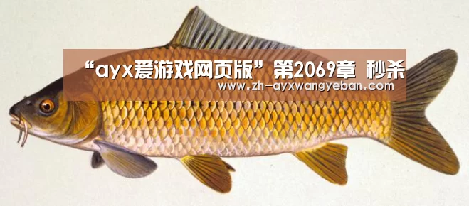 “ayx爱游戏网页版”第2069章 秒杀(图3) ayx爱游戏网页版