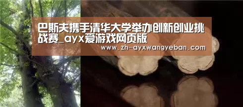 巴斯夫携手清华大学举办创新创业挑战赛_ayx爱游戏网页版(图2) ayx爱游戏网页版