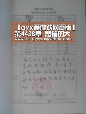 ayx爱游戏网页版